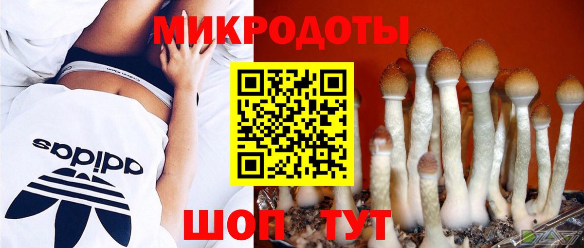 Псилоцибиновые грибы мухоморы  Вход с VPN  Биробиджан  Псилоцибиновые грибы Psilocybine cubensis 
